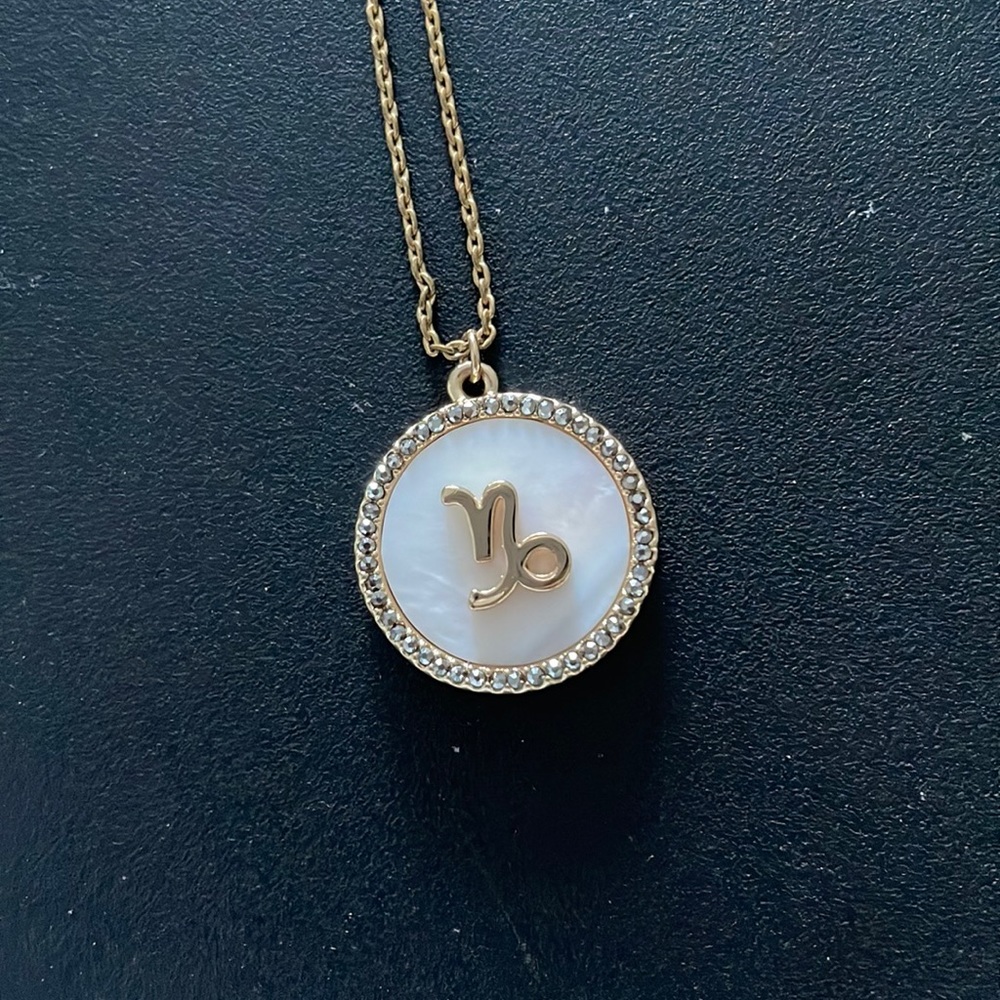 bauble bar Capricorn necklace